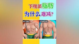 下腹部脂肪为什么难减？#健身 #减脂