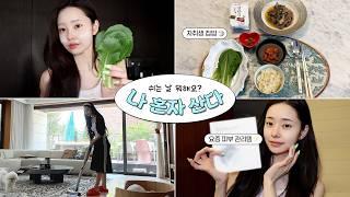 혼자사는 프리랜서의 여름맞이 집콕 브이로그️ 이 모든 걸 하루에 다 했다고..? (청소+집밥+넷플릭스)