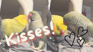 Kisses for Tinkerbell! (Full Footage)