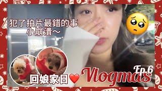 ️Vlogmas ep6 犯了拍片最崩潰的錯誤為什麼今年拍Vlogmas?回娘家送手信️內含大量狗狗可愛影片（中字）｜S.TONGLI