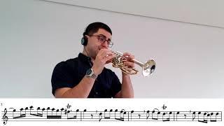 Telemann Trumpet Concerto in D - Daniel Leal trumpet