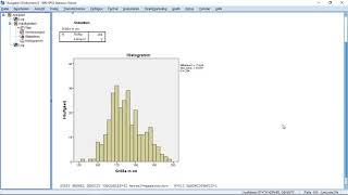 SPSS (R Essentials) - Kerndichteschätzung