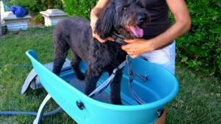 Booster Bath Dog Grooming Bathtub