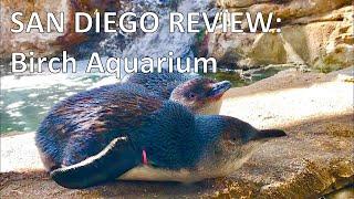 Birch Aquarium | San Diego Review