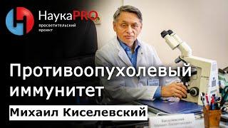 Противоопухолевый иммунитет – Михаил Киселевский | Лекции по медицине | Научпоп