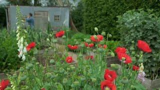 Gardeners World Rerun Eps 63