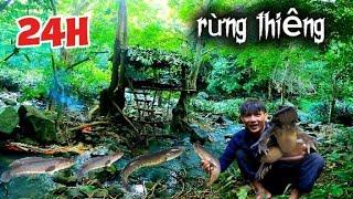 24h sinh tồn trong rừng làm nhà trên cây tìm thức ăn | camping alone in the woods