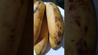 Sweet bananas for dessert /jasmine nav
