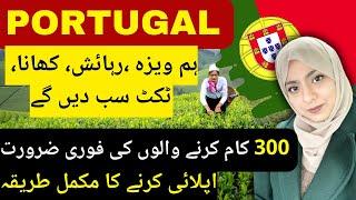 Portugal jobs & visa 2024 - 2025- Portugal kaise ja sakte hain- Europe kaise ja sakte hain