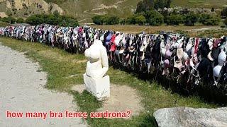 Cardrona Bras on Fence in Zealand