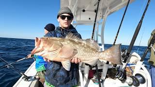 How to catch the Huge Red Grouper