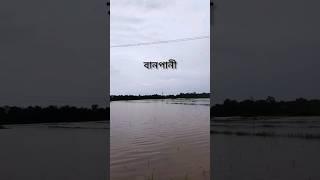 পানী এ সকলো কঠিয়া নষ্ট কৰি পেলালে #minivlog #assam