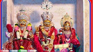  Live | Vadtal Mandir Darshan | VadtalDham  ​||SatsangTv |