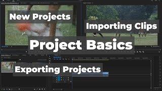 Adobe Premiere Pro: Project Basics