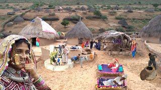 Traditional Tharparkar Desert Village Life in Sindh | Desert Life Pakistan | Village Life Pakistan