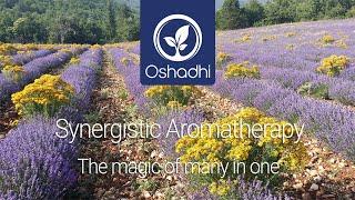 Synergistic Aromatherapy - the magic of many in one  | Essential oil Portrait by Dr. Malte Hozzel