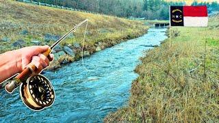 The Moment I Realized I Love Fly Fishing (Huge Wild Trout)