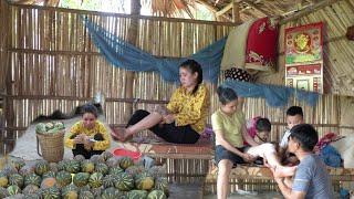 fullvideo:harvesting vegetables to go to the market.an accident happened and my legs hurt