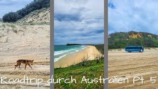 Vlog 34 - Australiens Ostküste - Ein Roadtrip nach Sydney // FRASER ISLAND