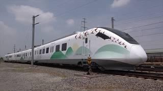 CRRC built  intercity train for Haikou, featuring its representative plants and animals