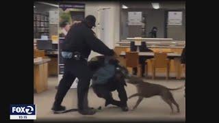 Guard attacked by pitbull in San Francisco Public Library