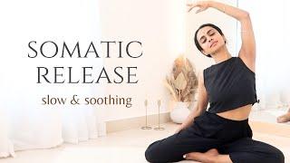 45 min Somatic Yoga + Nidra | Trauma Informed Release | Heal & Rediscover Yourself