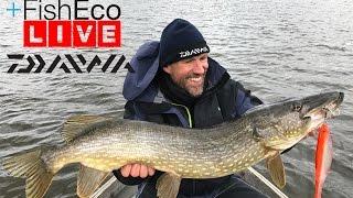 LIVEfishing with Anders Krus - Team Daiwa!