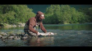 BORGUND: Epic Dry Fly Fishing for Giant Brown Trout in Norway