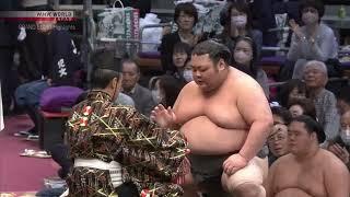 GRAND SUMO Final Day of the November 2024 Tournament   GRAND SUMO Highlights | @NHKWORLDJAPAN