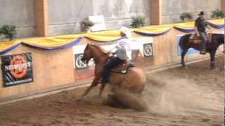 FEI World Reining Final warmup - Martin Muehlstaetter