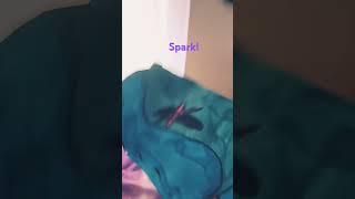 spark!!