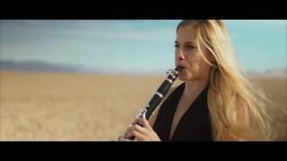 Lean On by Major Lazer (Four Play clarinet Music Video Cover)