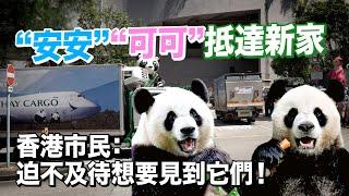 大熊貓“安安”“可可”抵達香港海洋公園　香港市民：迫不及待想要見到它們！