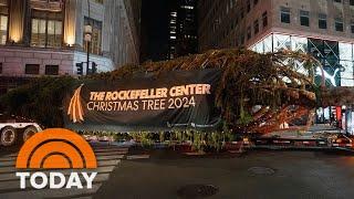 See the 2024 Rockefeller Center Christmas tree arrive in NYC