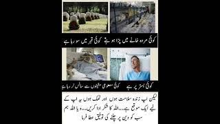 True 100%