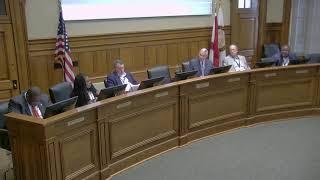 Tuscaloosa City Council Meeting