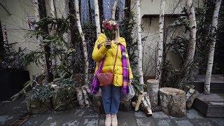 Walking with love