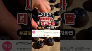 친아빠보다 새아빠가 더 좋다는 딸