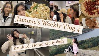 Vlog#4英國留學日記: Bamford, Home, Study daily