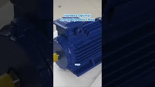 Unleash HSP Motor's Ultimate Efficiency