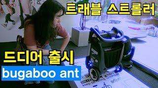 부가부 앤트  트래블 스트롤러 런칭파티 l bugaboo ant 여행다닐때 휴대용 유모차 l 생활모험가부부