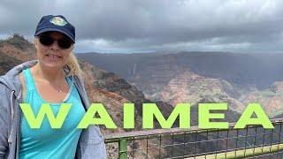 The Perfect Day in Kauai Exploring Waimea Canyon