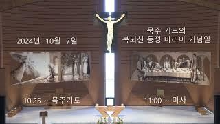 남양성모성지 / 2024. 10. 7 / 묵주 기도의 복되신 동정 마리아 기념일 / 묵주기도 / 미사