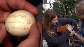 The World's Oldest Egg and other Unusual Egg Stories