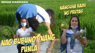 BUMISITA KAMI SA PALAYAN AT NANGUHA NG PRUTAS SA BAKURAN