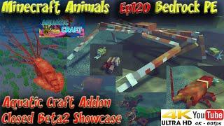 Aquatic Craft Addon Closed Beta2 Showcase BedrockPE Minecraft Animals Ep120