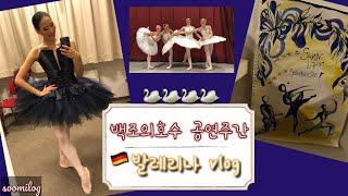 독일 발레리나 브이로그/발레단 백조의 호수 공연주간! Swan Lake Premiere Week