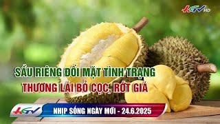 Sầu riêng đối mặt tình trạng thương lái bỏ cọc, rớt giá | Nhịp sống ngày mới 24.6.2025