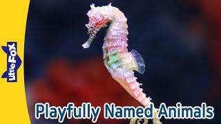 Funniest Animal Names | Flying Fox, Sea Horse, Ladybug, Sea Lion, Humpback Whale | Little Fox