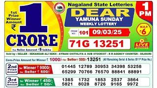 Lottery Sambad 9 Tarik 1PM 09/03/25 | Dear Lottery Sambad 9 Tarikh Result | 9 Tarikh Morning Result